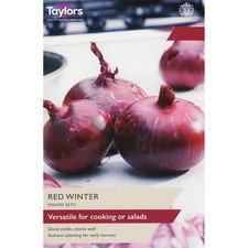 Onion Set Red Winter – Premium Autumn Planting Onion Sets - 250 grams