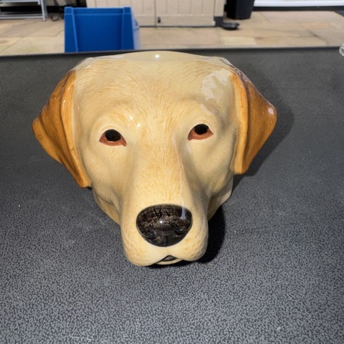 Quail yellow labrador faced - yellow,