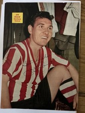 JOE SHAW  Sheffield United