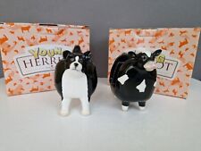 BORDER FINE ARTS STUDIO YOUNG