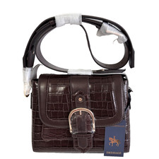 Paul Costelloe Dressage