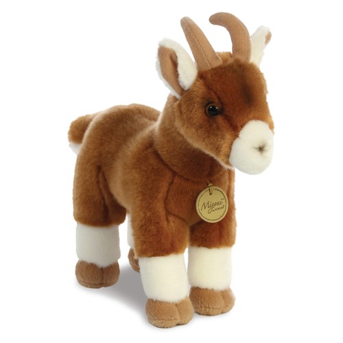 Aurora miyoni goat - aurora,