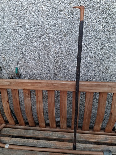 Unique vintage branch walking - unique,