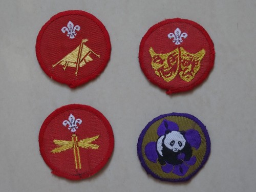 Cub scout collective - scout,
