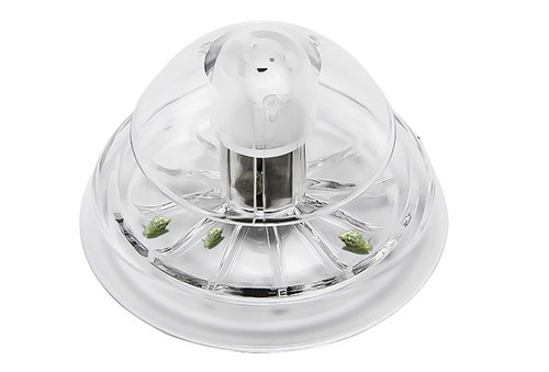 Accessories pest catch - accessories,
