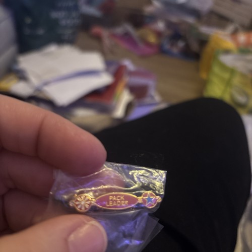 Girl guiding pack - girl, leader