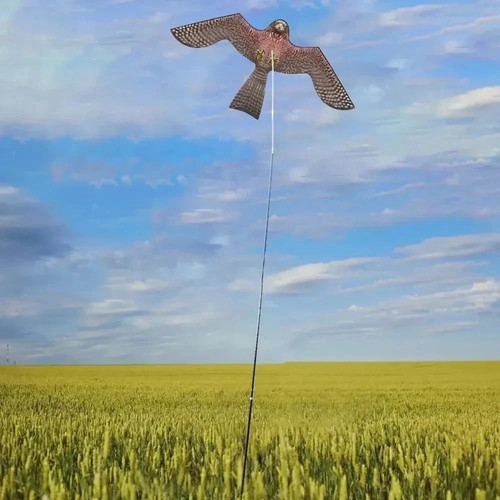 Laptony bird scarer flying - laptony,