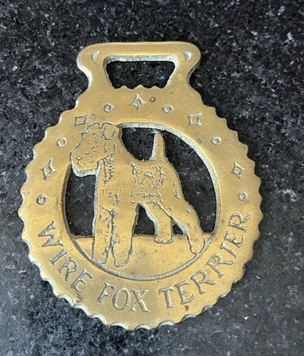 Wire fox terrier - wire, horse