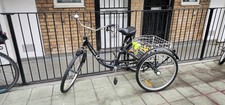 Viribus adult tricycle - adult, 24"