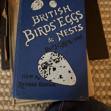 British Birds Eggs & Nests by