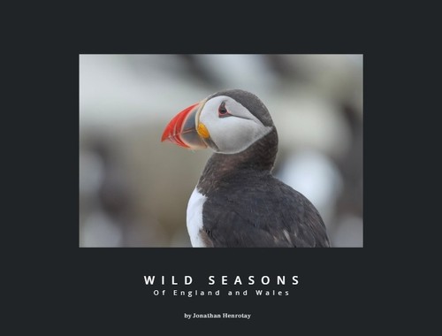 British wildlife book soft - british, book,