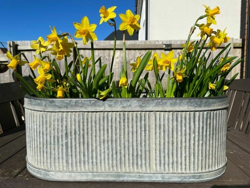 Galvanised zinc ribbed - galvanised,