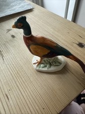 Tiny Pheasant Bright Colours