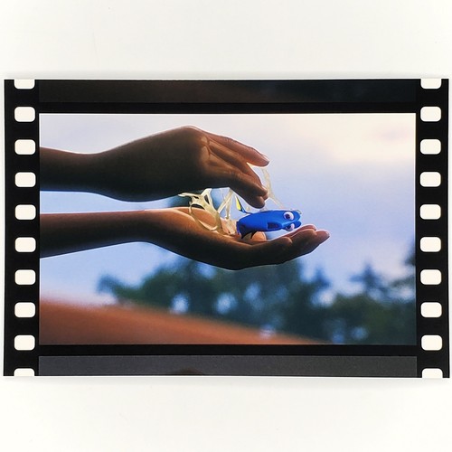 Finding dory postcard pacific - finding,