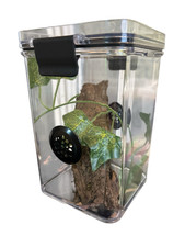 Praying Mantis,Stick