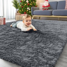 Area Rugs for Living Room