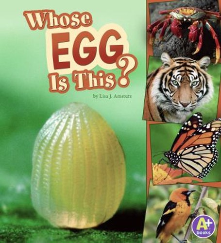 Whose egg this paperback - egg, this?