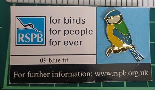 Blue tit rspb - blue, bird
