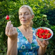 Raging Bull Chilli Plug –