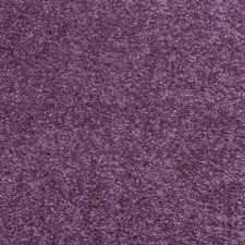 Carpet / Bedroom / Living Room