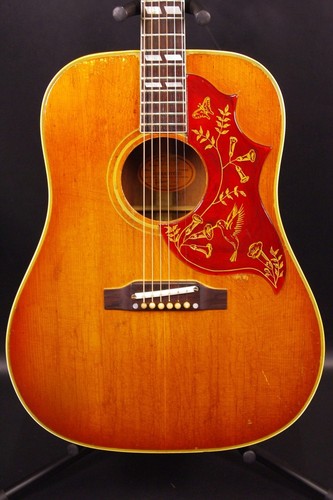 Gibson hummingbird - gibson,