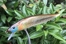 SPEEDBAITS Custom Airbrushed