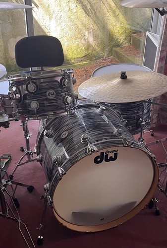 Collectors maple oyster - dw,