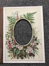 TWO Victorian Album FLORAL