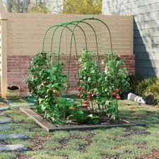 Green Arched Plants Climbing