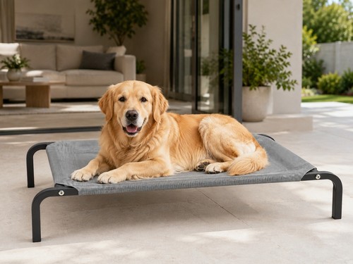 New bunty raised - new, bed
