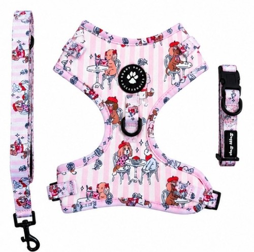 Dog harness collar and lead - and,