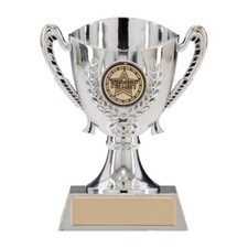 PRESENTATION CUP TROPHY - Gold