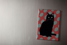 Black Cat Fridge Magnet |
