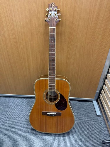 Greg bennett acoustic - greg,
