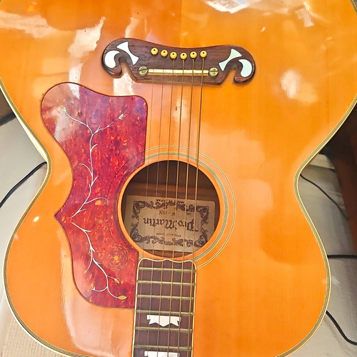 Pro martin 50n jumbo - pro-martin,