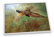 Archibald Thorburn Pheasant in flight CANVAS FLOATER FRAME Wall Art Print