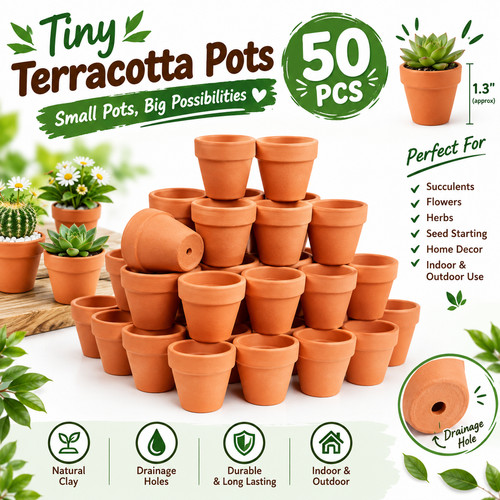 50pcs mini terracotta clay - mini,
