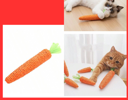 Cat carrot interactive - -,