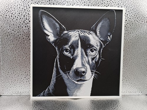 Basenji hueforge - basenji, –