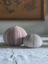 2 Vintage Natural Sea Urchin