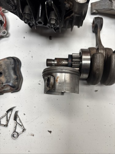 Stihl br5700 br600 back - stihl,