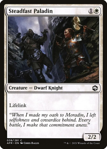 Steadfast paladin c - paladin, 38