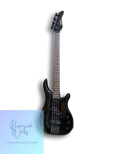 Fernandes electric bass black - fernandes,