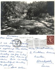 Vintage Postcard - Fairy Dell