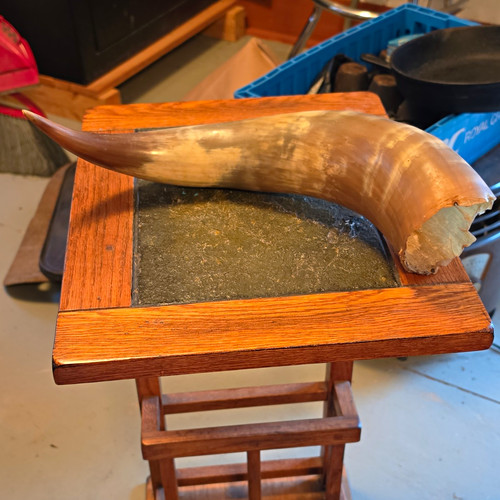 Natural hollow cow horn - -,