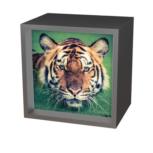 Tiger light box - tiger,