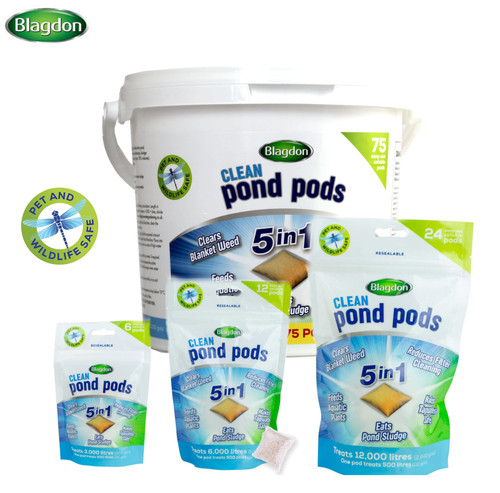 Blagdon clean pond - blagdon,
