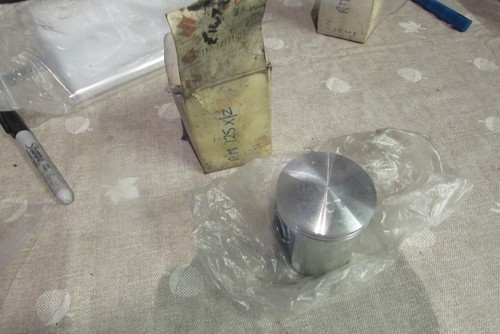 1980 1981 1983 nos - 1981,
