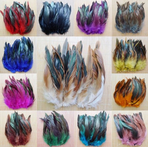 Rooster tail feathers - tail,