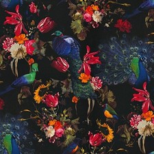 Instawalls Peacock Wallpaper